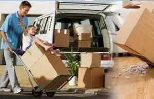 نقل وتخزين العفش